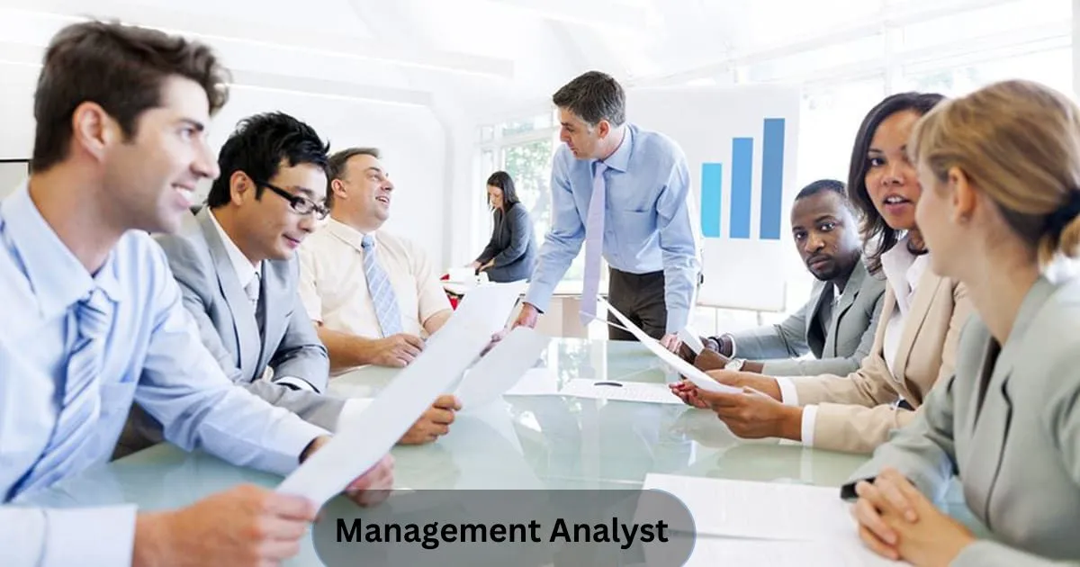 Management Analyst