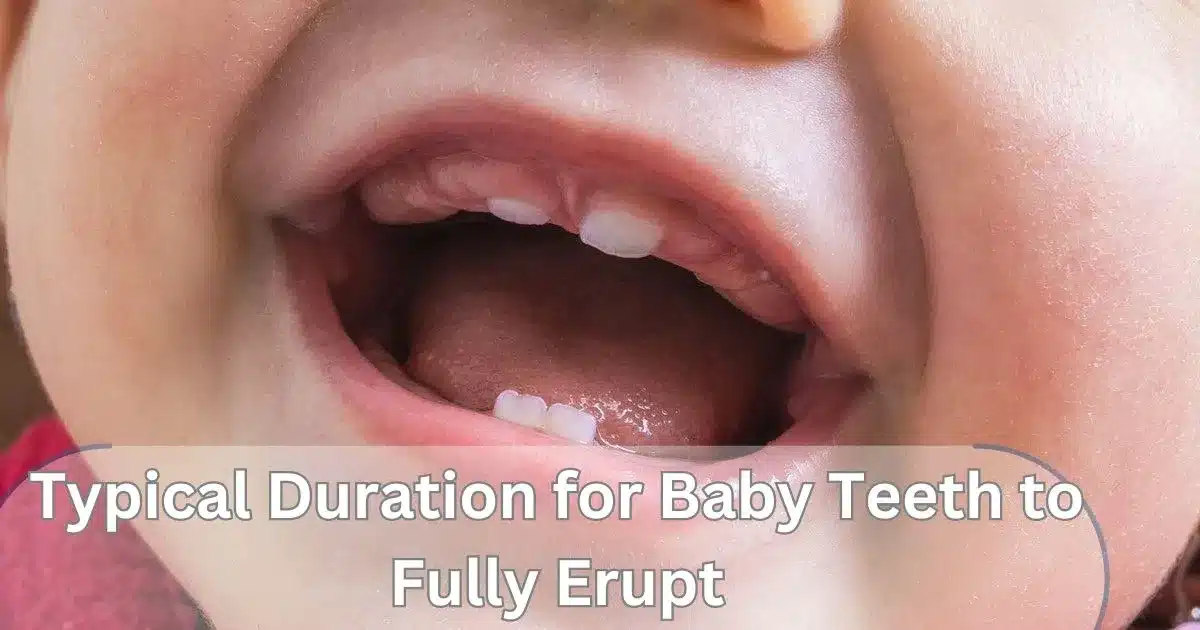 Typical Duration for Baby Teeth to Fully Erupt