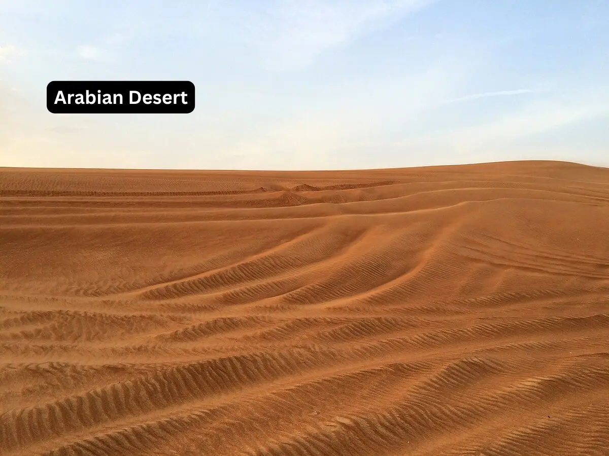 Arabian Desert