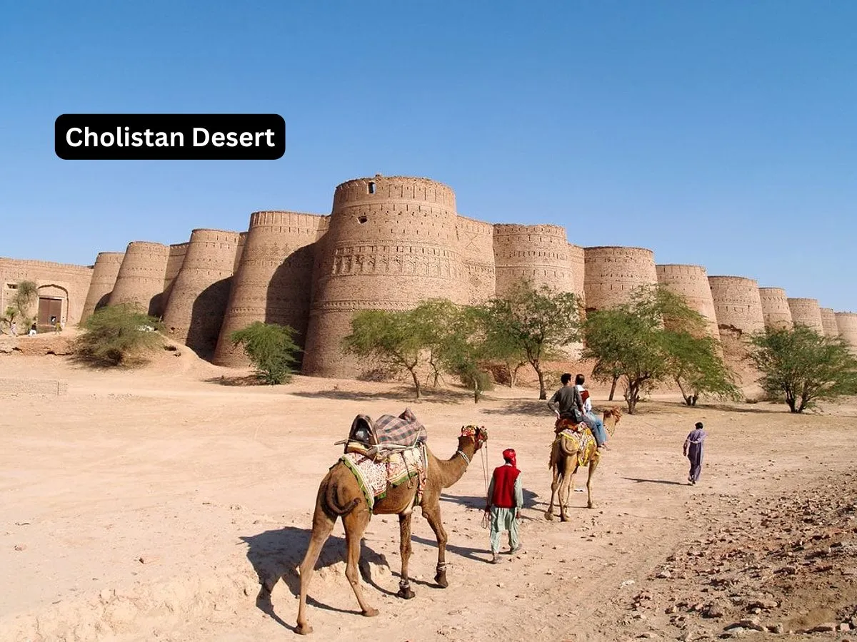 Cholistan Desert