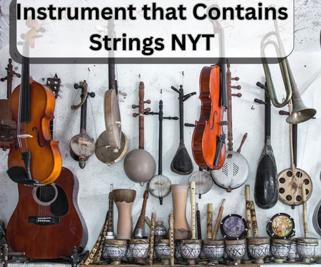 Instrument that Contains Strings NYT Crossword Clue