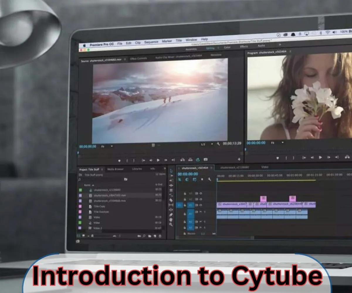 Introduction to Cytube