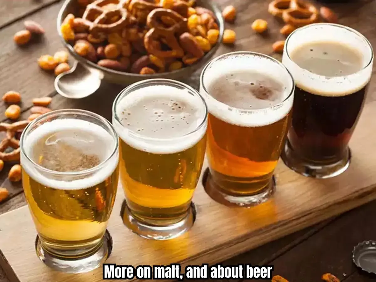 More on malt, and about beer