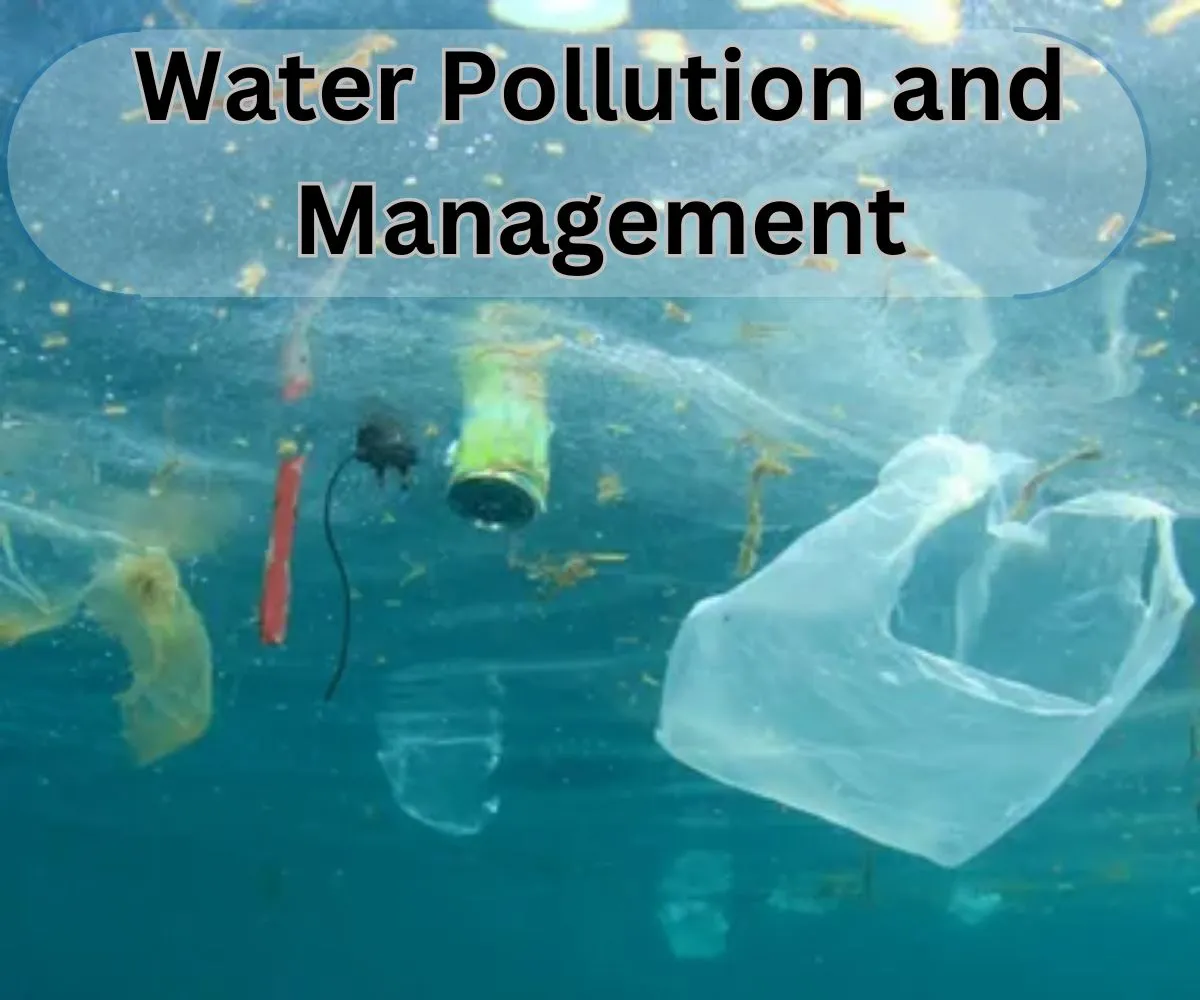 Water Pollution and Management