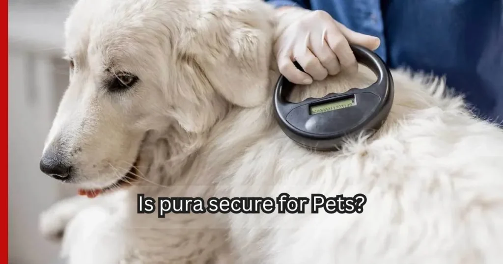 Is pura secure for Pets?