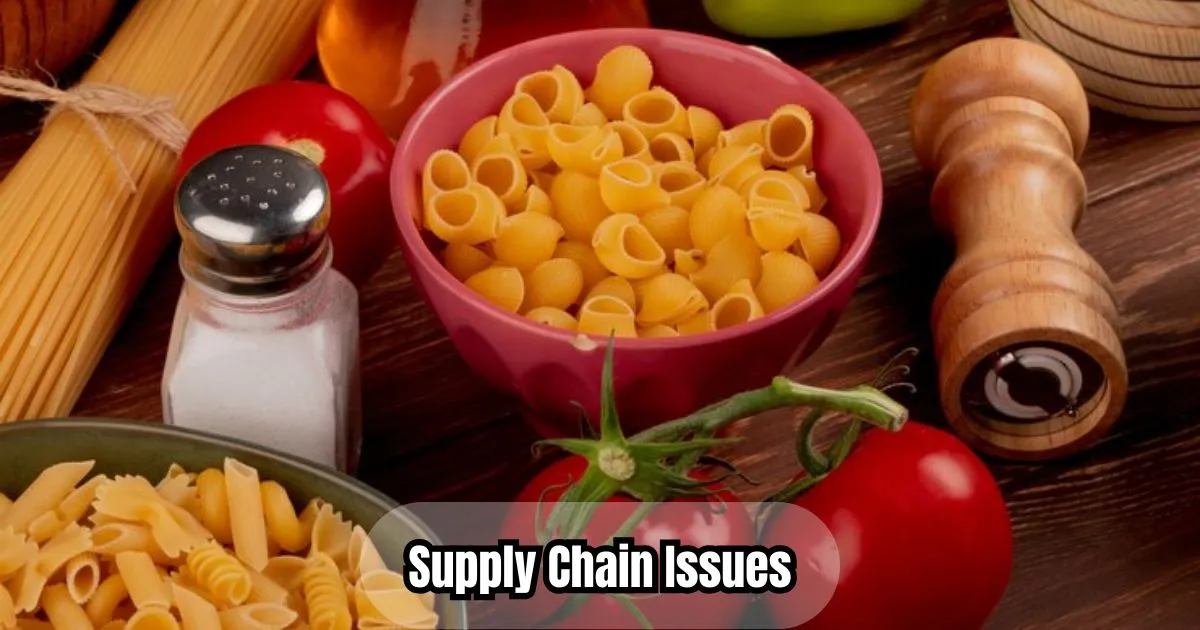 Supply Chain Issues